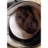 A hat box containing four ladies hats