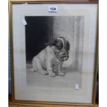 A gilt framed 19th Century monochrome lithograph with puppy in a muzzle, entitled For the Safety