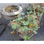 A concrete garden pedestal planter - sold with a pair of concrete garden pots - various condition