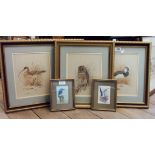 Andrew Alexander: a set of four gilt framed watercolour bird studies - titled and signed in pencil