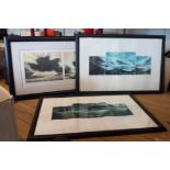 †Susan E. Jameson: three ebonised framed signed limited edition multi image coloured prints -
