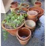 A selection of terracotta pots - various size and condition