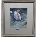 †Susan Allen: a framed watercolour, entitled Mute Swan in Salcombe Harbour - label verso