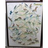A coloured map of Dartmoor featuring its wildlife