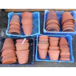 Four plastic trays containing a selection of small sized terracotta pots