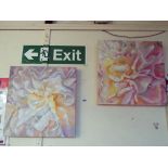 Nancy Murgatroyd: a pair of oil on canvas studies of blossom - both signed with initials