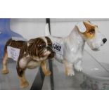 Two Royal Doulton dog figurines HN 1037 Bulldog and HN 1031 Sealyham Terrier