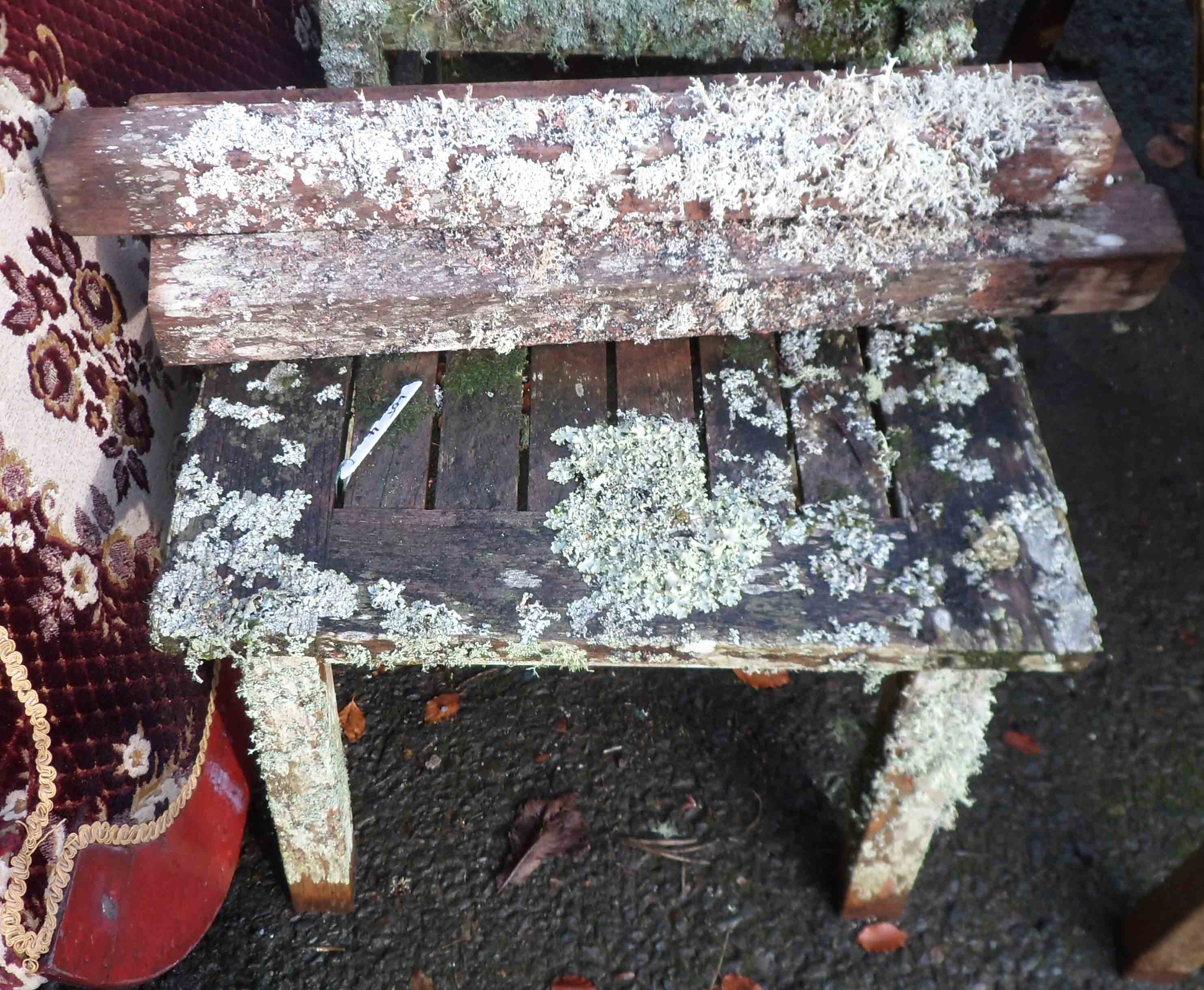 A Barlow Tyrie small teak coffee table covered in lichen