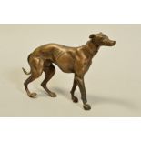 A LATE 19TH CENTURY BRONZE SCULPTURE OF A GREYHOUND, impressed mark RD76637 to underside, restored