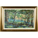 TIMMY MALLETT (BRITISH CONTEMPORARY) 'BLUEBELL SHADOWS', a limited edition print on canvas 72/195,