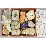 A SELECTION OF GEMSTONE SPECIMENS, to include calcite, petrified wood, a fossilised sand dollar