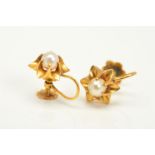 A PAIR OF CULTURED PEARL STUDS, single cultured pearls claw set in a flower surround, screw fittings