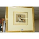ATTRIBUTED TO LUCY DAWSON (1867-1958), 'Totsy', a pastel study of a cat, titled lower left, mounted,