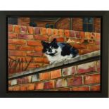 PAUL JAMES (BRITISH CONTEMPORARY) 'TOWNY TOM', a limited edition print on canvas of a cat 8/95,