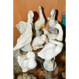 A LLADRO DUCK, together with seven Nao ducks (8)