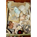 A BOX OF SHELLS, STONE SAMPLES, TWO GEODES ETC