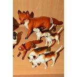TWO BESWICK FOXES AND FOUR FOXHOUNDS Nos 1016A and 1440 (ear chipped), both foxes tails no white tip