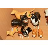 EIGHT BESWICK DOGS, Corgi 'Black Prince' No1299A, Labrador 'Solomon of Wendover' No1548 (golden),