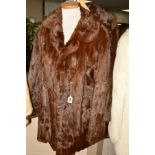 TWO DARK BROWN SQUIRREL LADIES 'CAR-COATS', both having side-seam pockets (2)