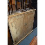 A VICTORIAN PANELLED PINE TWO DOOR CABINET, the doors revealing assorted pigeon storage holes, the