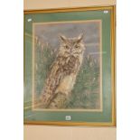 JOAN FIELDEN (BRITISH 20TH CENTURY) 'EAGLE OWL' an owl perched on a branch, signed bottom right,