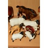 A SMALL GROUP OF BESWICK ANIMALS, 'Foal' No947 (chipped ear), brown, two Black Faced Sheep No1765 (
