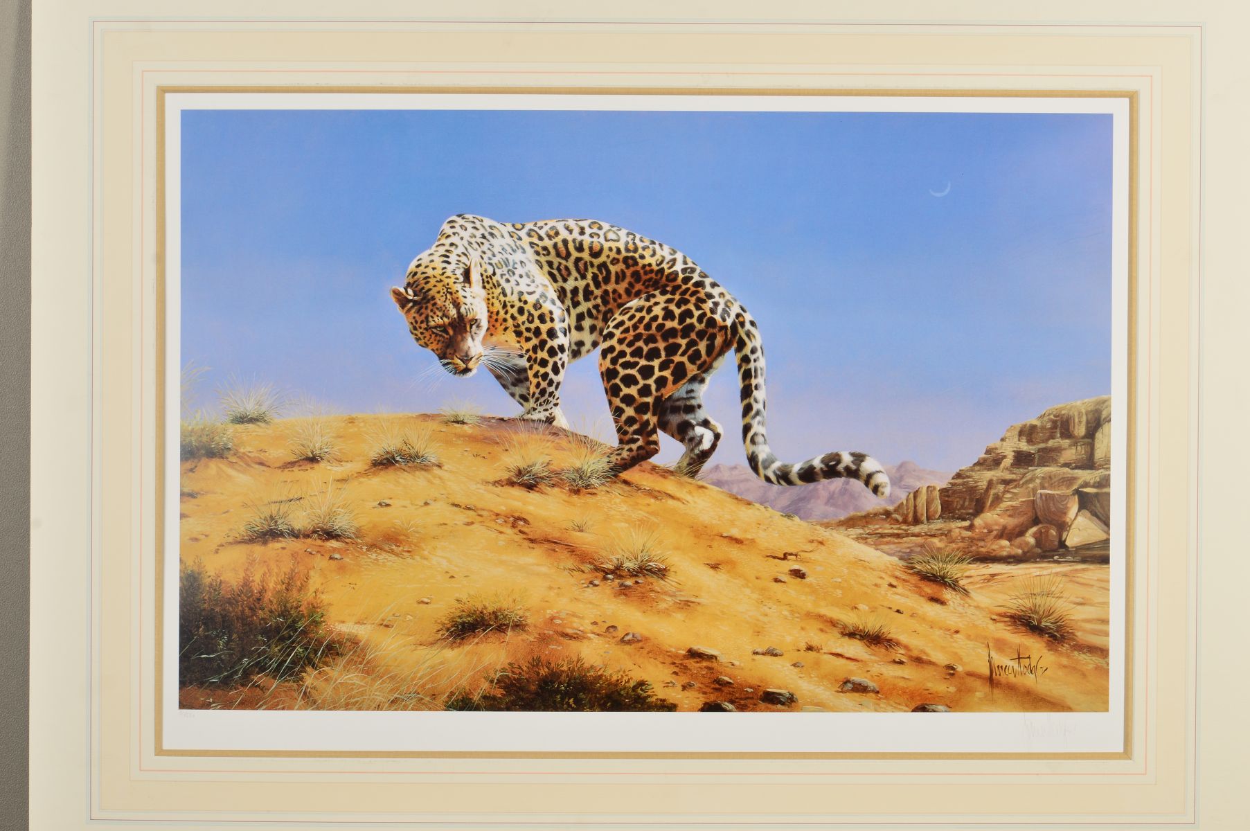 SPENCER HODGE (BRITISH 1943), 'Arabian Leopard', a limited edition print, 311/550, signed to the