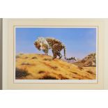 SPENCER HODGE (BRITISH 1943), 'Arabian Leopard', a limited edition print, 311/550, signed to the