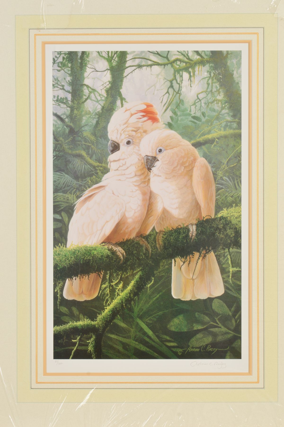ADRIAN RIGBY (BRITISH 1962), 'Majestic Moluccans', a limited edition print of a pair of Cockatoo'