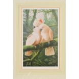 ADRIAN RIGBY (BRITISH 1962), 'Majestic Moluccans', a limited edition print of a pair of Cockatoo'