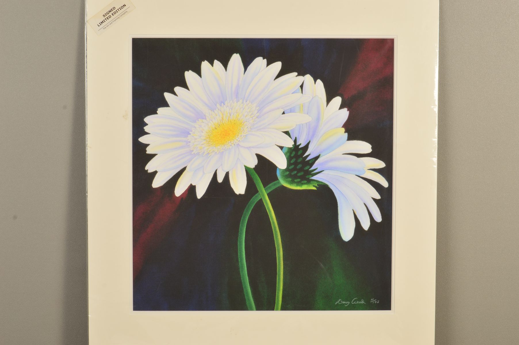 NANCY WOOD (BRITISH CONTEMPORARY), 'Happy and Bashful', a limited edition print, 11/195, of daisy's,