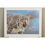 ANTHONY GIBBS (BRITISH 1951), 'Breathless', a limited edition print of a Snow Leopard, 288/295,