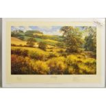 DAVID DIPNALL (BRITISH 1941), 'Afternoon Across The Meadows', a limited edition print, 370-500, a