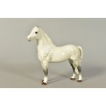 A BESWICK WELSH MOUNTAIN PONY, 'Coed Coch Madog' No1643, 1st version