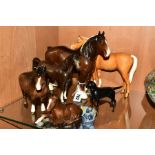 FIVE BESWICK HORSES AND A BESWICK DOG, Shire Mare No818, brown, Foal No915, brown, Shetland Pony