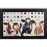 HAYLEY GOODHEAD (BRITISH CONTEMPORARY) 'DAMIENS HERD' a limited edition box canvas print 31/195 cows