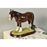 A BOXED ROYAL DOULTON SHIRE, RDA26, from Sporting and Ceremonial Horse Collection, with wooden