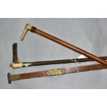 A DRING AND FAGE LTD COOPERS MEASURING STICK, with two horn handled riding crops (3)