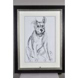 APRIL SHEPHERD (BRITISH CONTEMPORARY) 'DOG PORTRAIT V' a sketch of a dog sitting down, signed