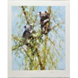 DAVID SHEPHERD (1931-2017), 'Up A Gum Tree', a Limited Edition print of Koala Bears, signed to lower