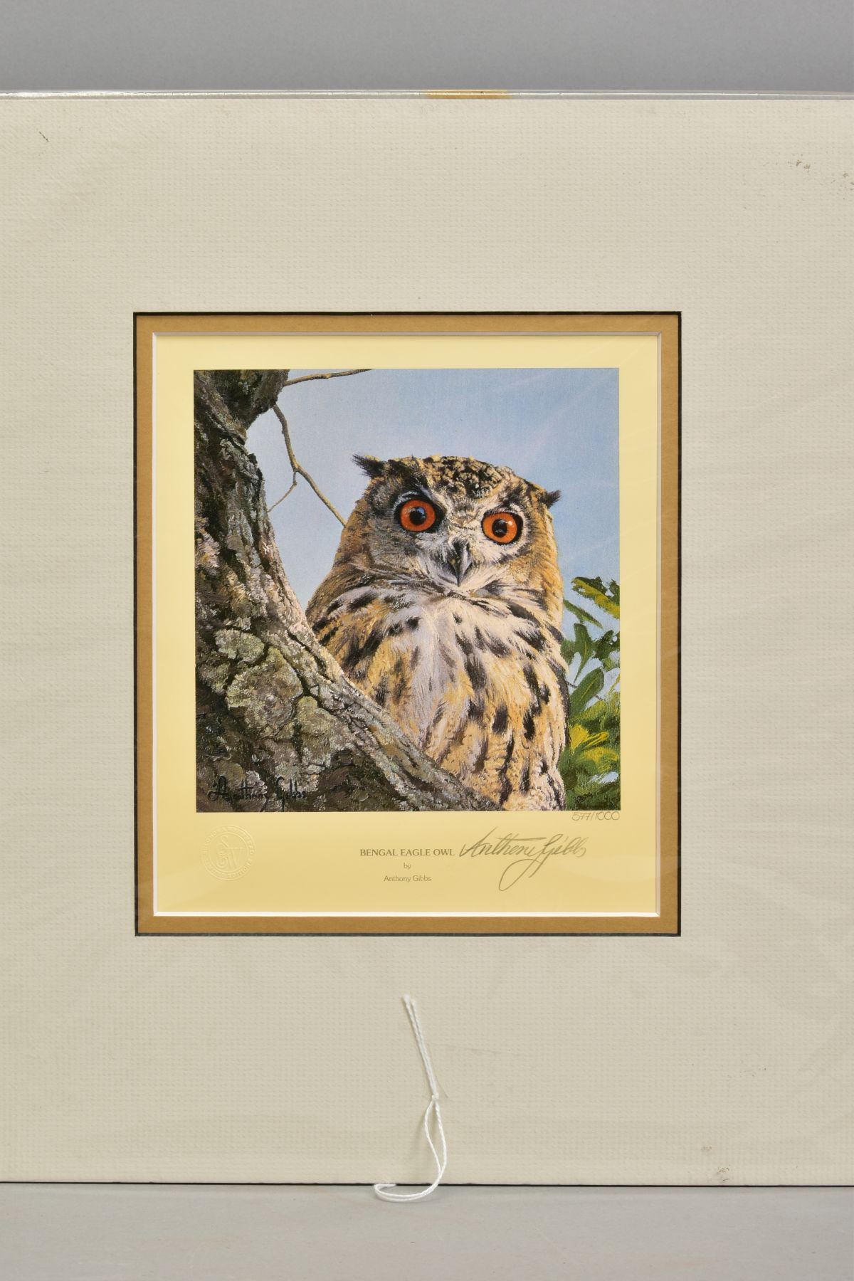 ANTHONY GIBBS (BRITISH 1951), 'Bengal Eagle Owl', a Limited Edition print, 577/1000, signed lower