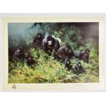 DAVID SHEPHERD (1931-2017), 'The Mountain Gorillas of Rwanda', a Limited Edition print, 284/1500,