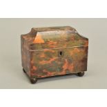 AN EARLY 19TH CENTURY TORTOISESHELL TEA CADDY, the hinged cover with rectangular inset cartouche,