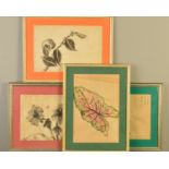 LATE 19TH/20TH CENTURY CHINESE SCHOOL, four amateur studies of flowers and foliage, watercolours,