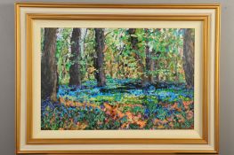 TIMMY MALLETT (BRITISH CONTEMPORARY), 'Bluebell Heaven', a woodland landscape, oil on canvas, signed