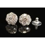 A PAIR OF MODERN DIAMOND ROUND CLUSTER EAR STUDS, post fittings, round brilliant cut diamonds