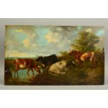 19TH CENTURY BRITISH SCHOOL, four cattle watering and grazing in a lowland landscape, oil on