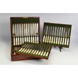 A 19TH CENTURY MAHOGANY CASED SET OF MOTHER OF PEARL HANDLED CUTLERY, comprising twenty four table