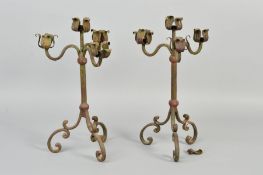 A PAIR OF FIRST HALF 20TH CENTURY PAINTED WROUGHT IRON FOUR LIGHT CANDELABRA, with central petal