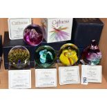 THREE BOXED CAITHNESS LIMITED EDITION PAPERWEIGHTS, 'Pastorale' No17/500, 'Chiffon' No220/750,